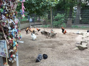 Wildpark Pforzheim Kinderbauernhof Hühnergehege