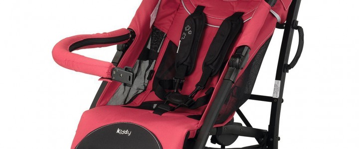 Buggy Vergleich – Den richtigen Kinderbuggy kaufen