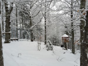 Waldklettergarten im Kinderhotel Oberjoch