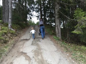 Weg zur Wannenkopfhütte