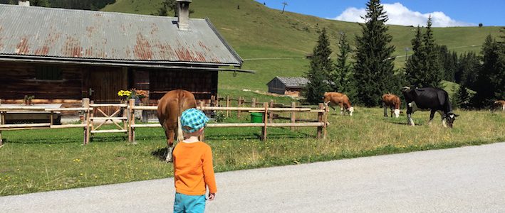 Loferer Alm_Wandern mit Kindern