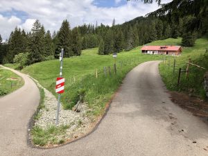 Wanderung zur Mittelalpe_Alpe Hörnle