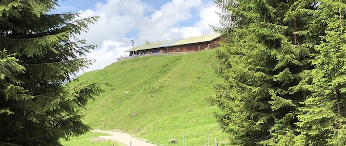 Wanderung zur Mittelalpe_Blick zur Mittelalpe