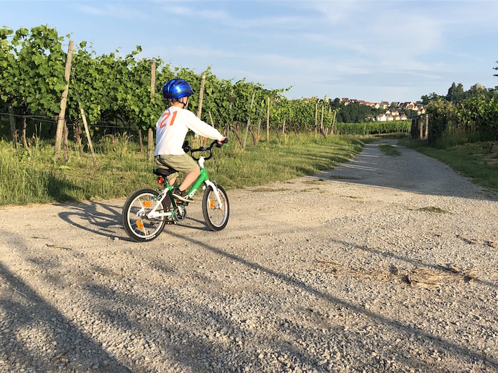 Kinderfahrrad-Kauf: Tipps vom Experten, worauf es zu achten gilt - WELT