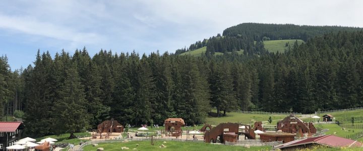 Alpsee Bergwelt_Abenteuer-Alpe